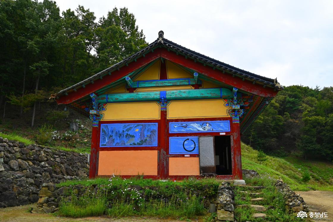 공주 구룡사 구절초꽃