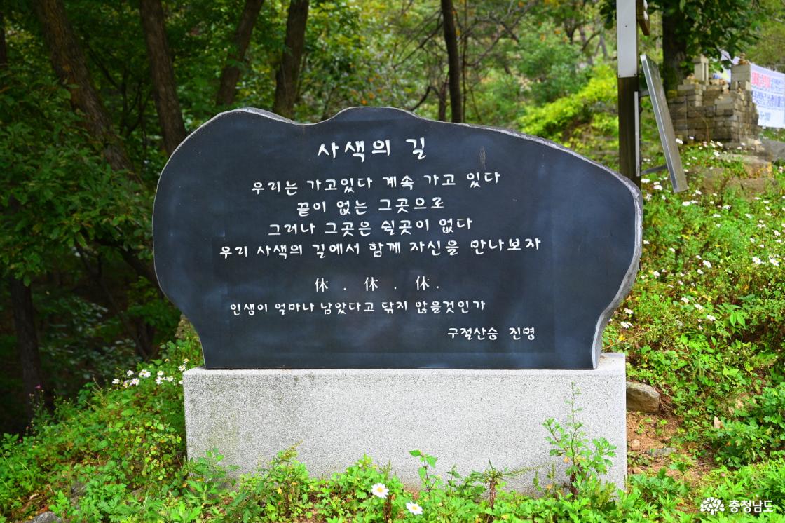 공주 구룡사 구절초꽃