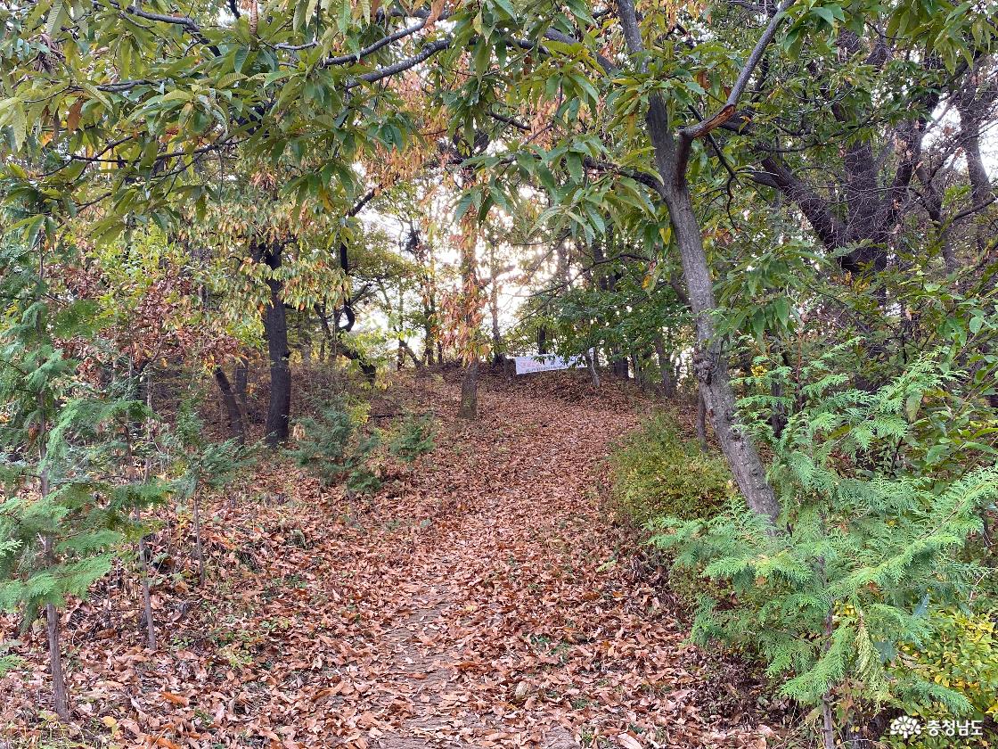 산길