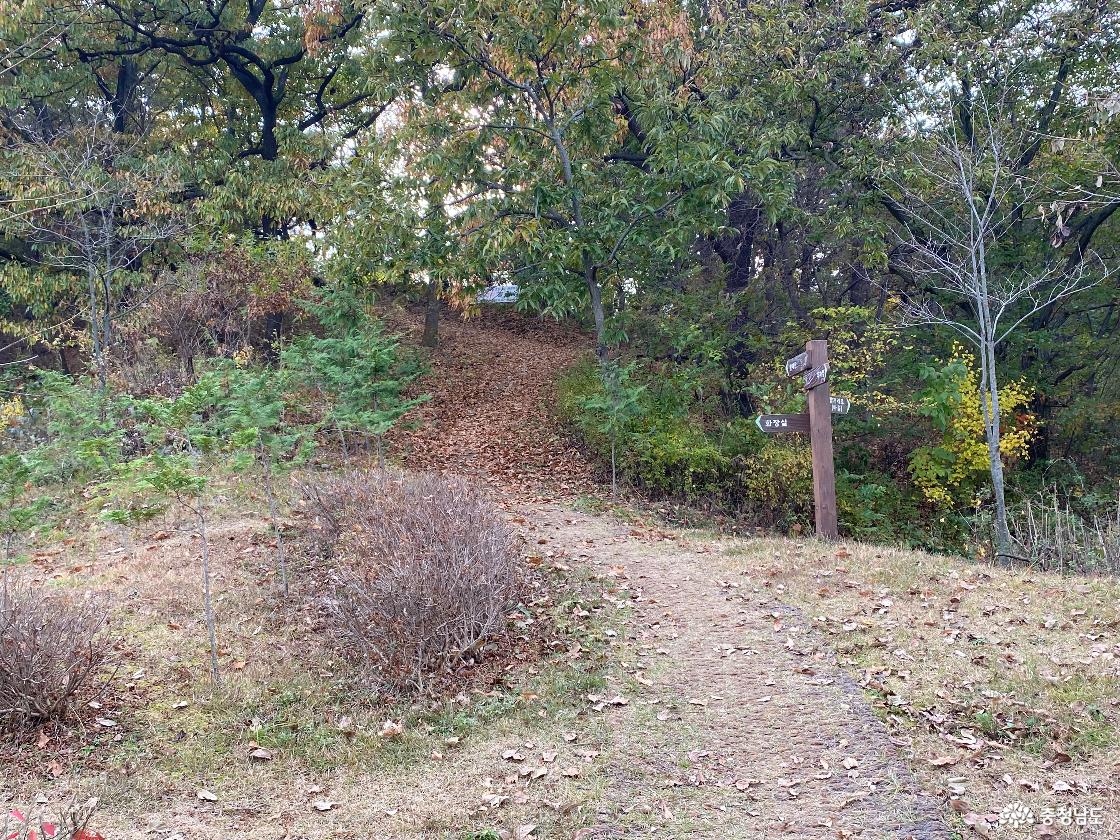 산행길 진입