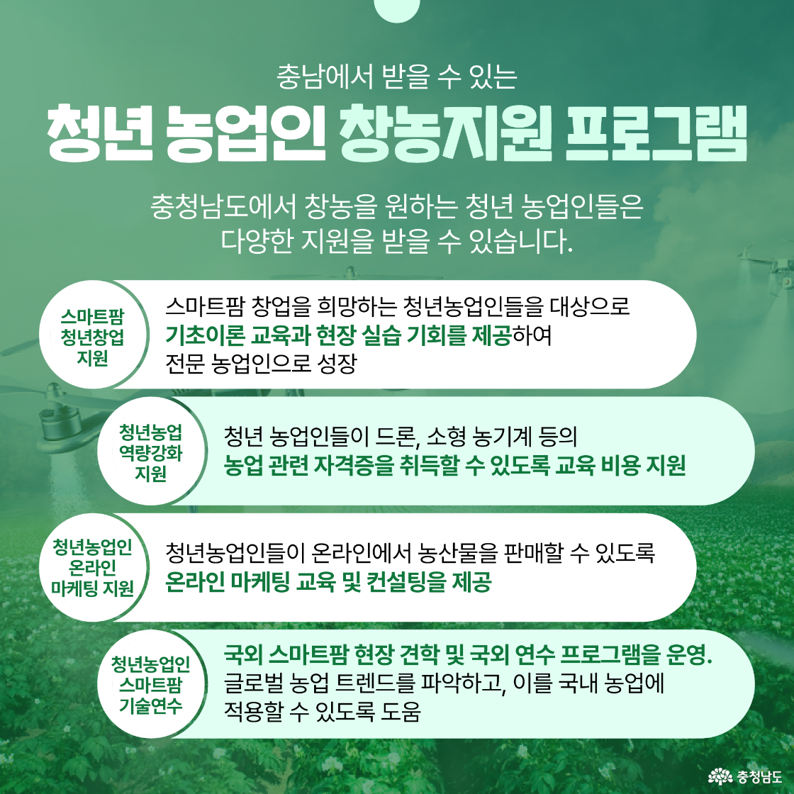 청년 농업인 창농 지원 프로그램에 대한 안내 페이지로, 스마트팜 창업 지원, 농업 관련 자격증 취득 지원, 온라인 마케팅 교육 및 컨설팅, 스마트팜 기술 연수 프로그램 등을 소개하고 있습니다.