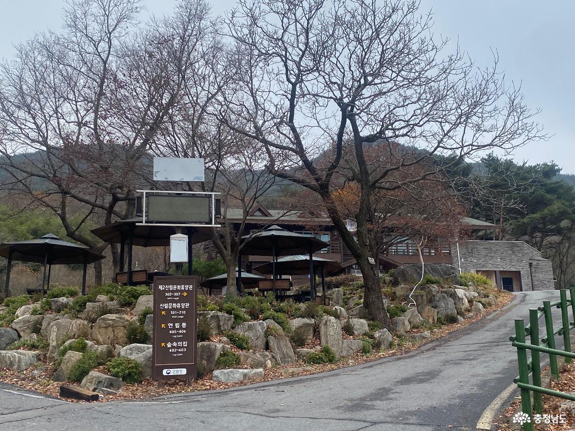 나무 계단으로 되어있는 등산로 입구 