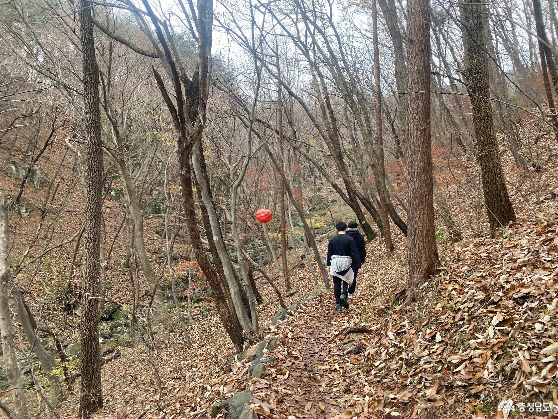 월정사로 향하는 계단 사진