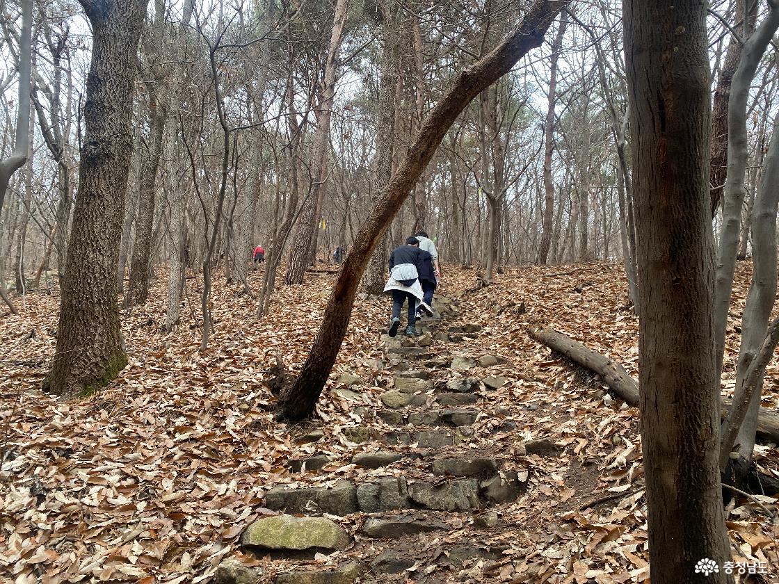 정상 부근 나무 사이사이에 눈이 쌓인 모습