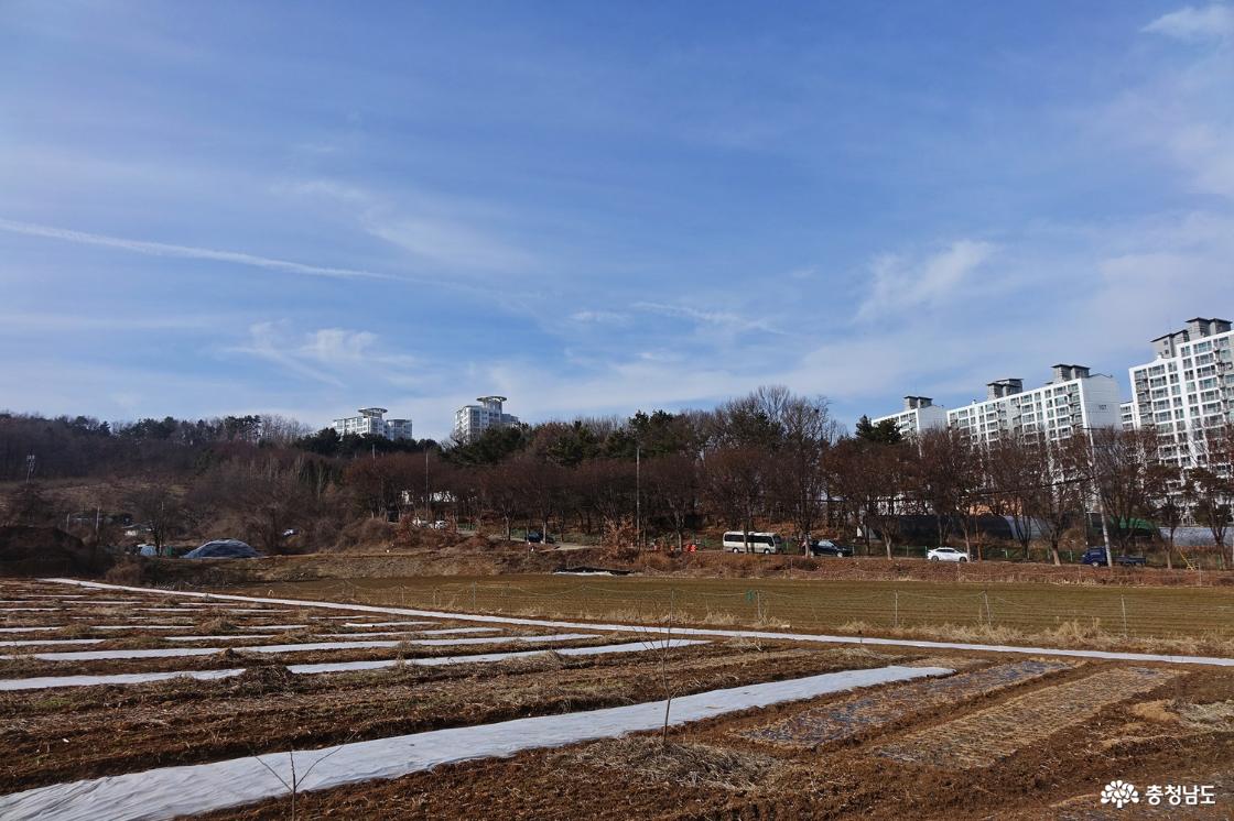 신창 상수도 시민공원 올라가는 길