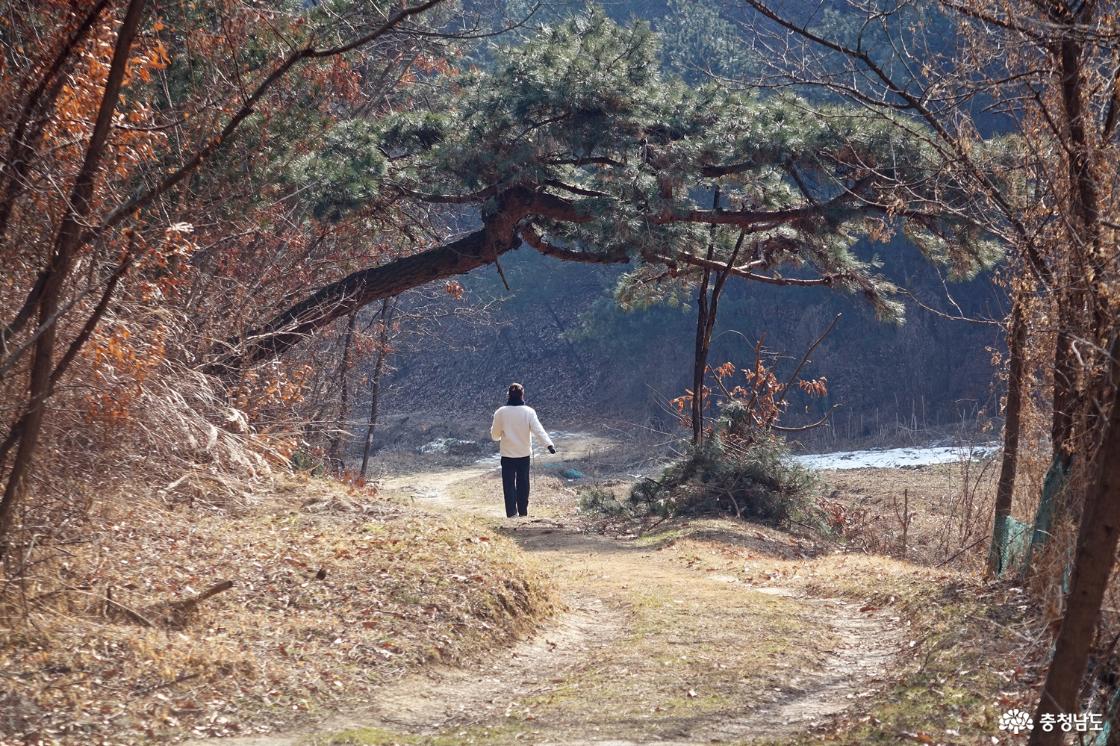 행목산 숲길