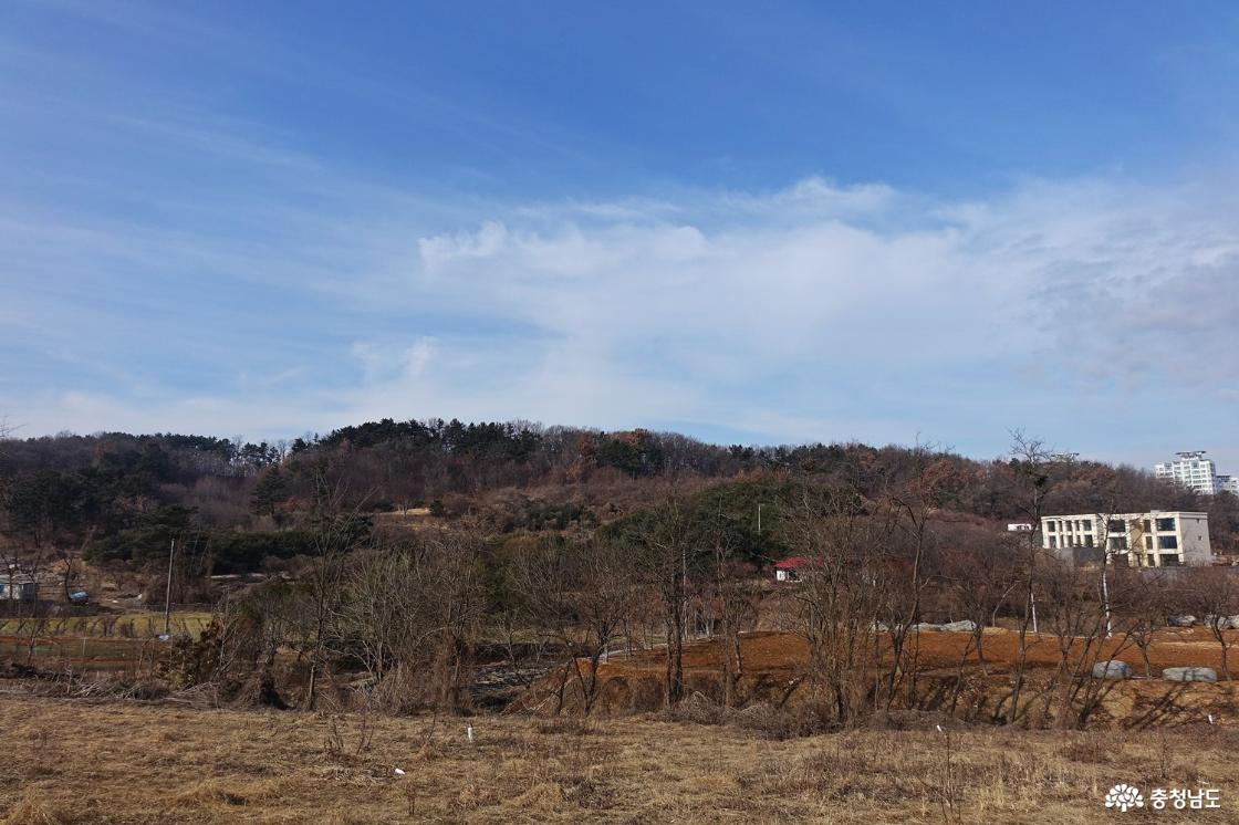 둘레둘레 돌아 본 행목산