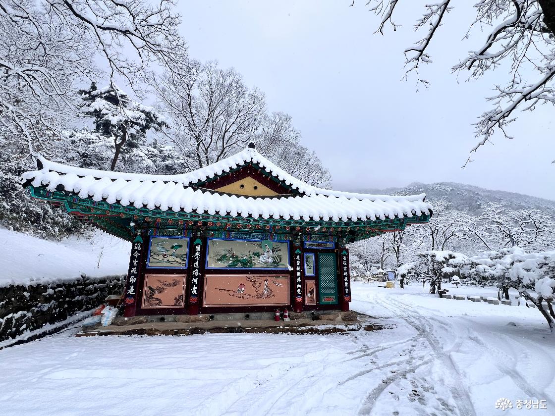 함박눈 속 신원사 여행, 겨울 속 고즈넉한 풍경을 만나다