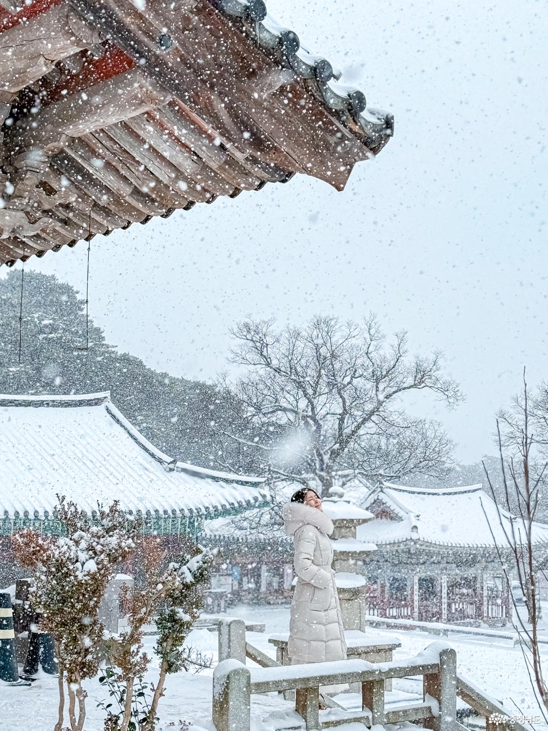 한겨울에 찾아간 수덕사 겨울 설경