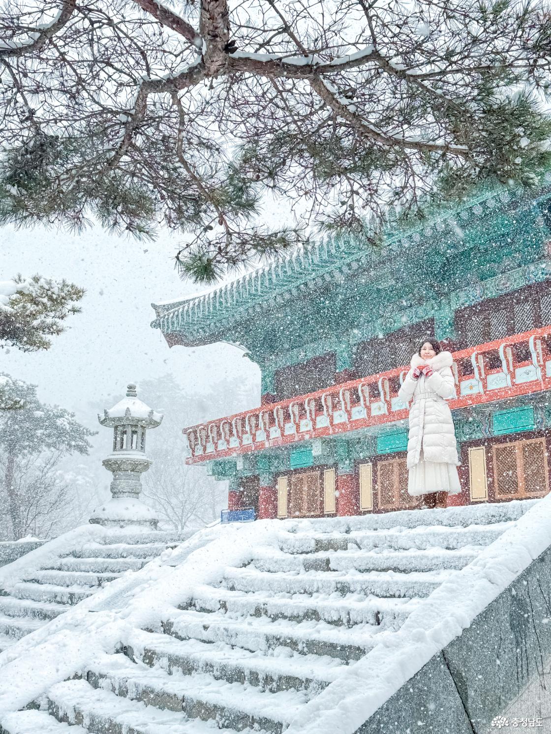 한겨울에 찾아간 수덕사 겨울 설경