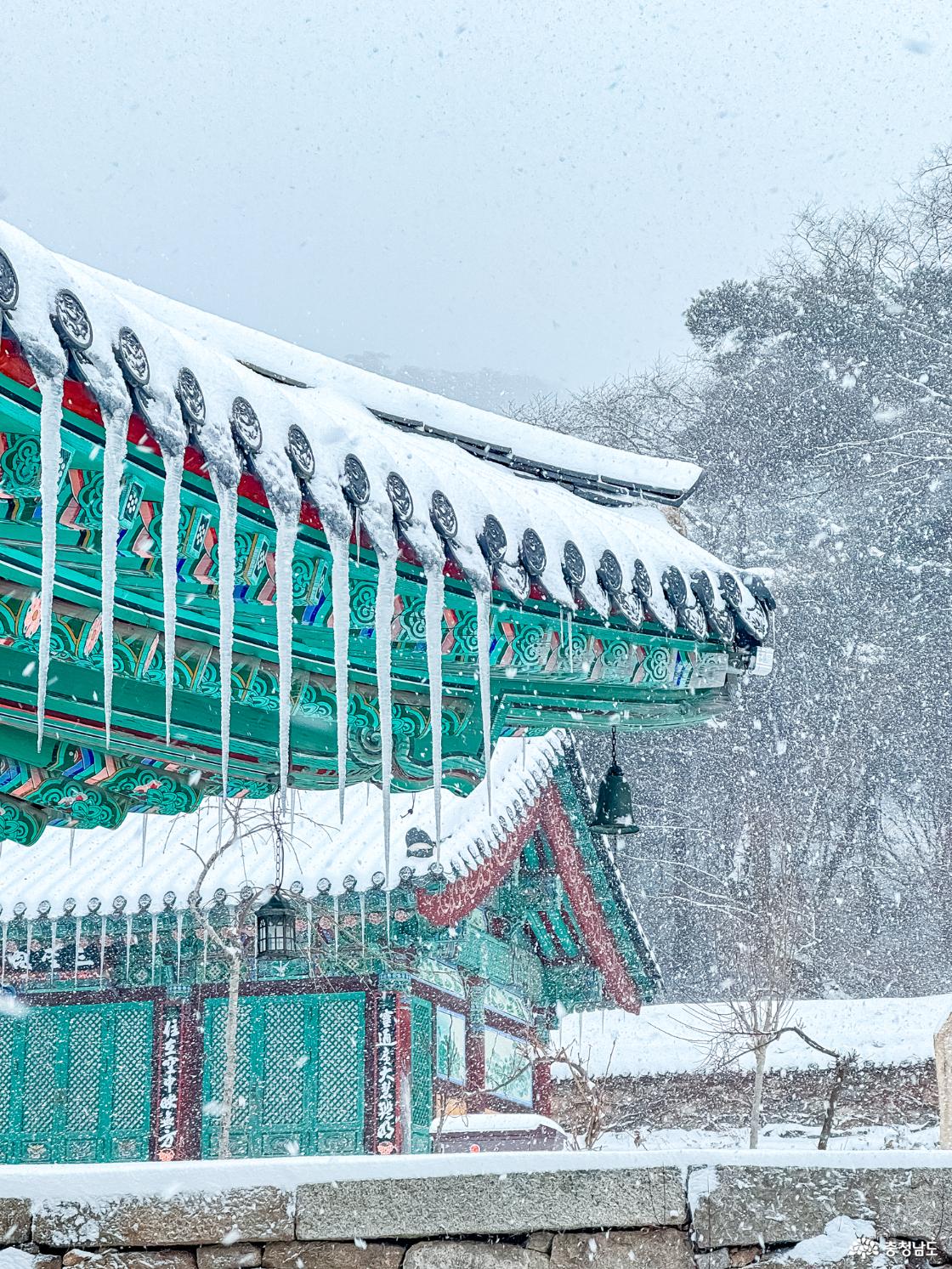 한겨울에 찾아간 수덕사 겨울 설경