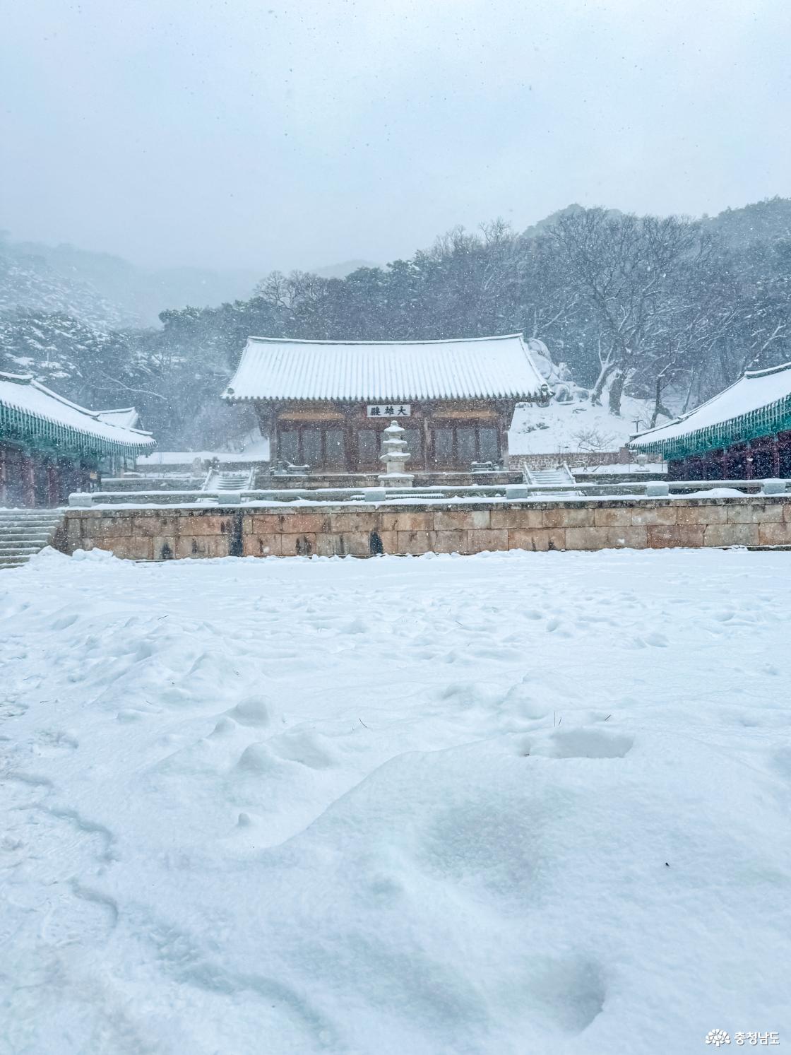 한겨울에 찾아간 수덕사 겨울 설경