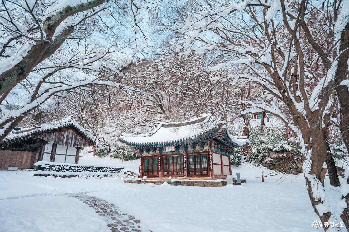 한겨울 추위에 찾아간 마곡사 겨울 설경