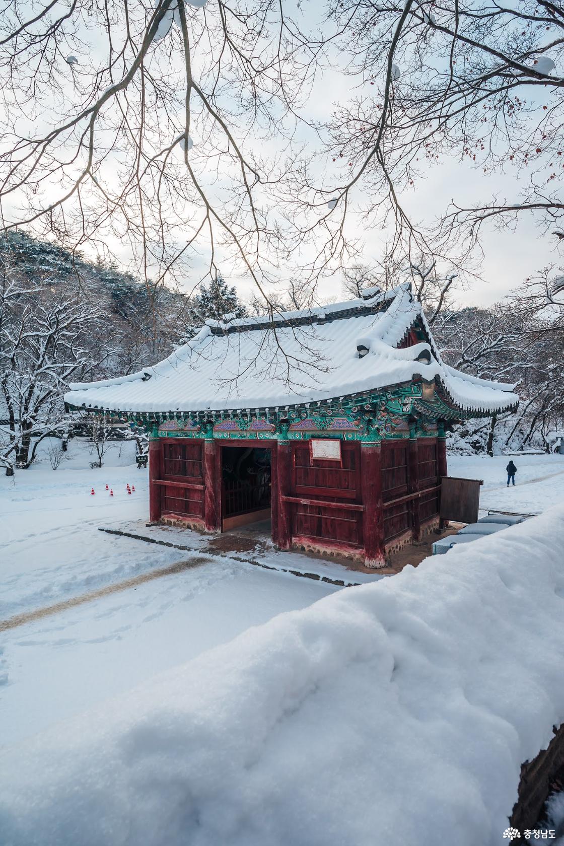 한겨울 추위에 찾아간 마곡사 겨울 설경