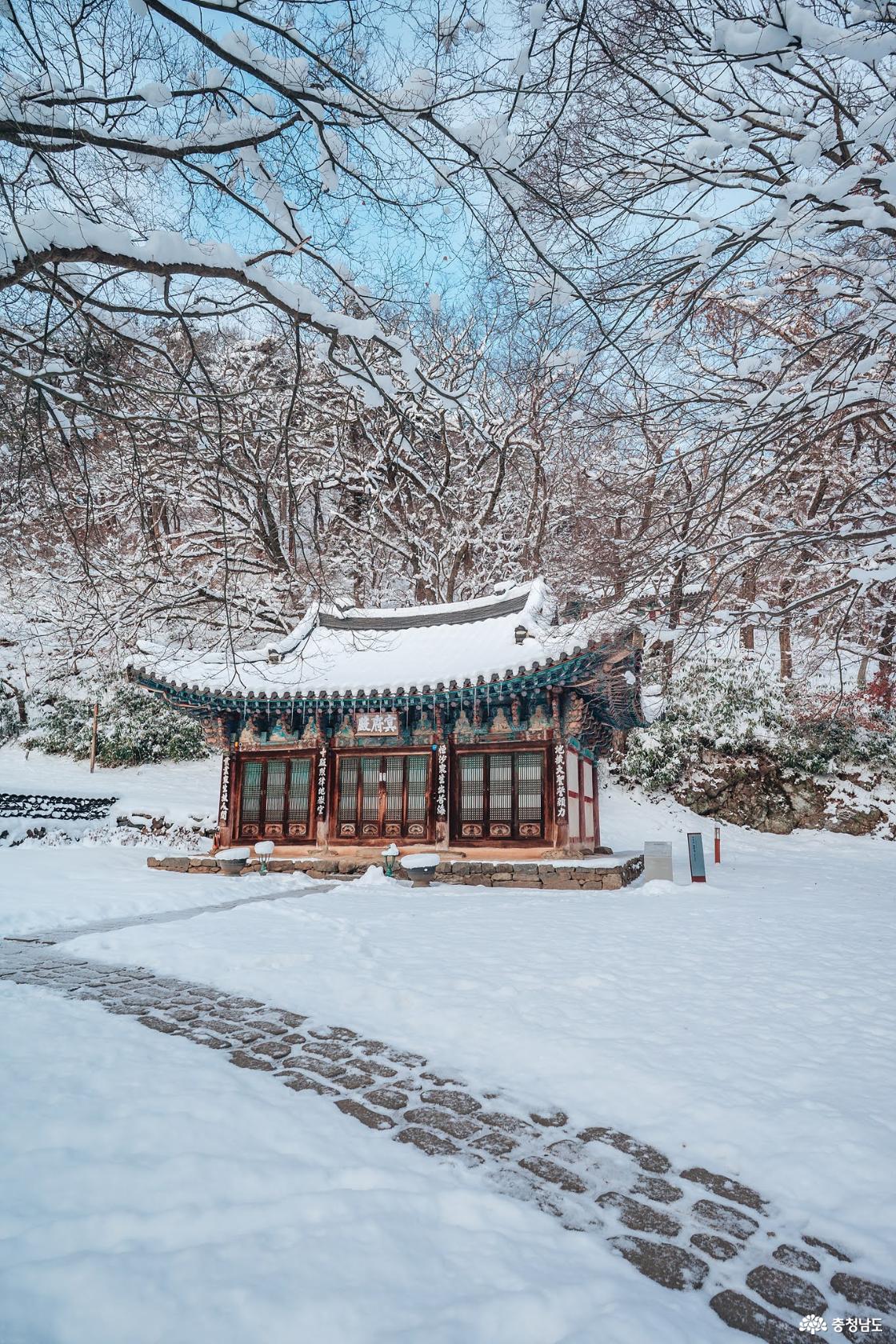 한겨울 추위에 찾아간 마곡사 겨울 설경