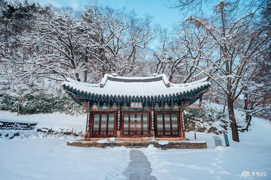 한겨울 추위에 찾아간 마곡사 겨울 설경