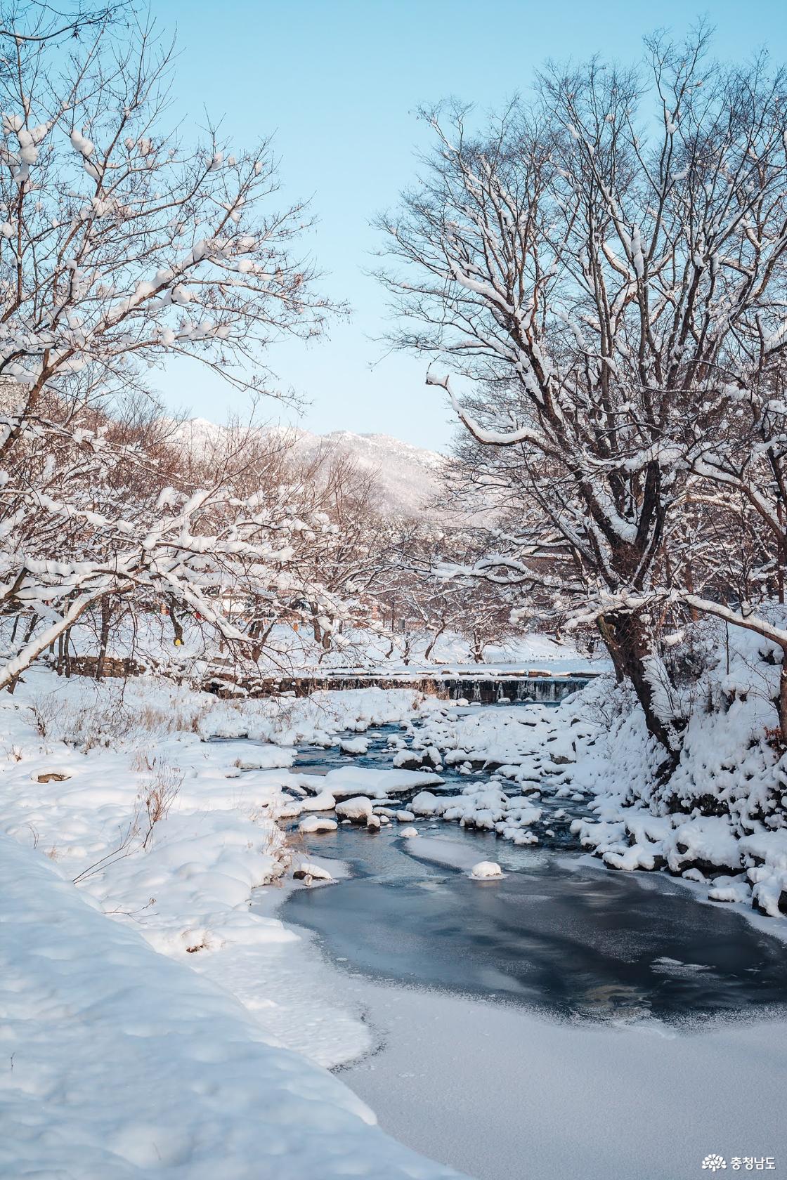 한겨울 추위에 찾아간 마곡사 겨울 설경