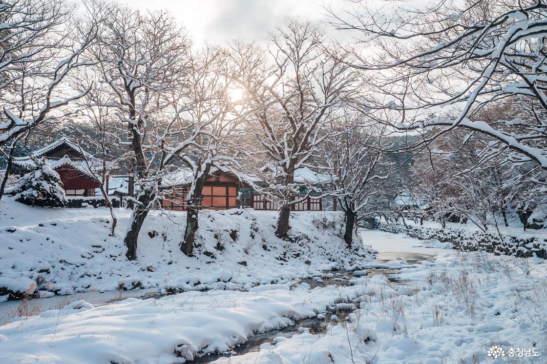 한겨울 추위에 찾아간 마곡사 겨울 설경