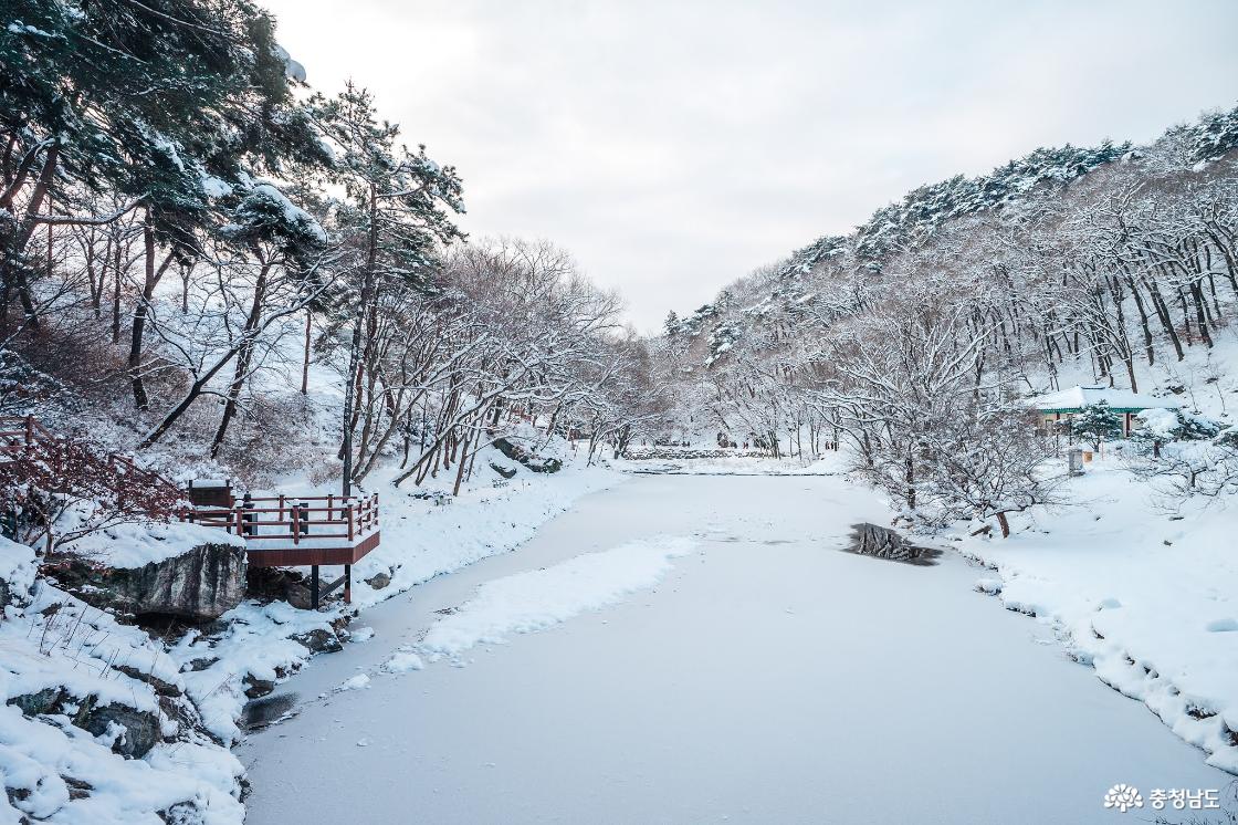 한겨울 추위에 찾아간 마곡사 겨울 설경