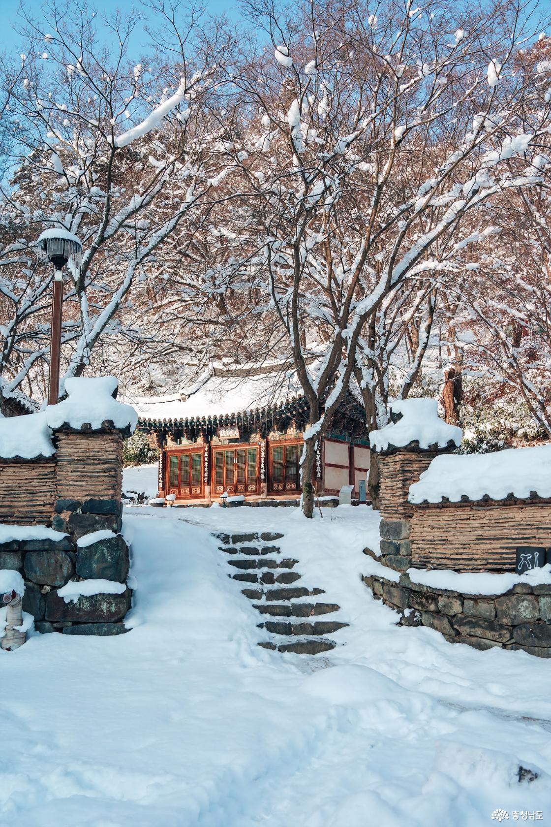 한겨울 추위에 찾아간 마곡사 겨울 설경