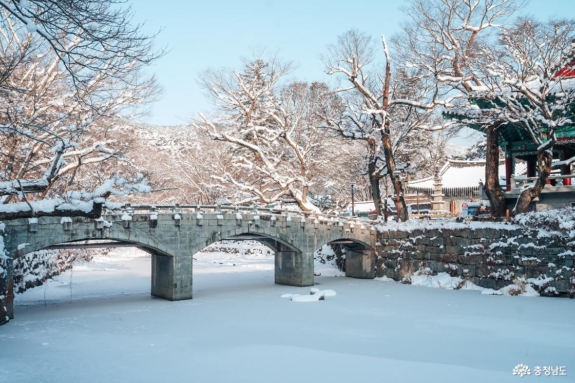 한겨울 추위에 찾아간 마곡사 겨울 설경