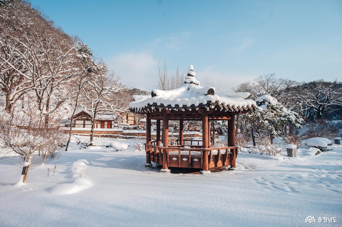 한겨울 추위에 찾아간 마곡사 겨울 설경