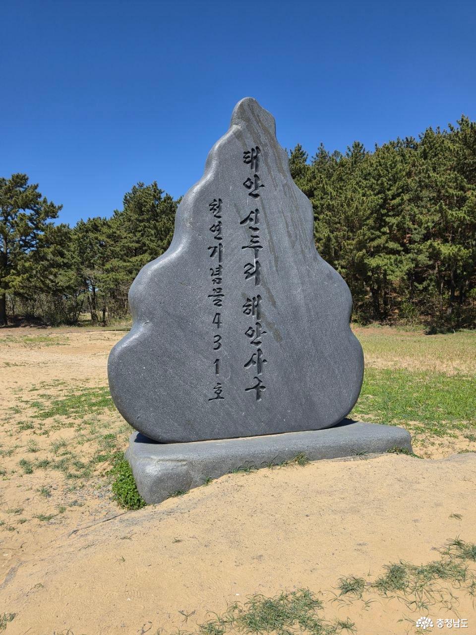 신두리 사구 입구 표지석