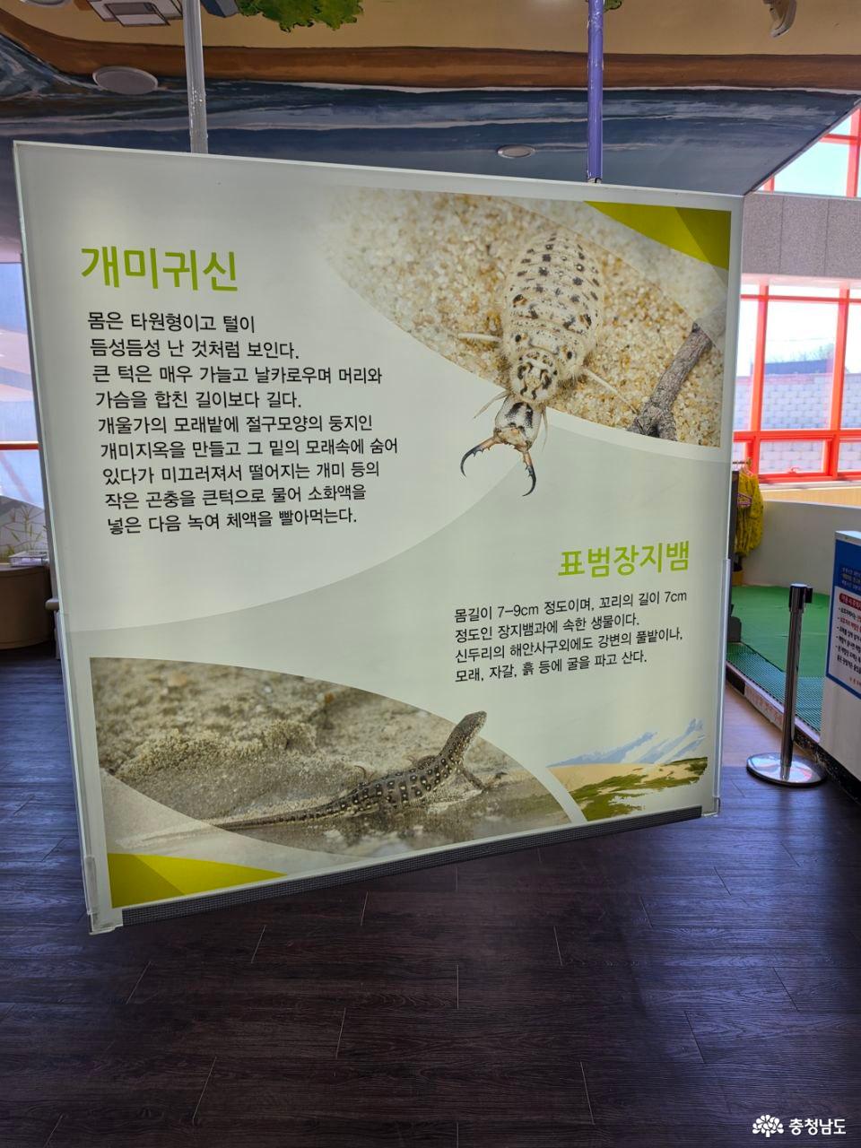 신두리 해안사구센터 내부 2