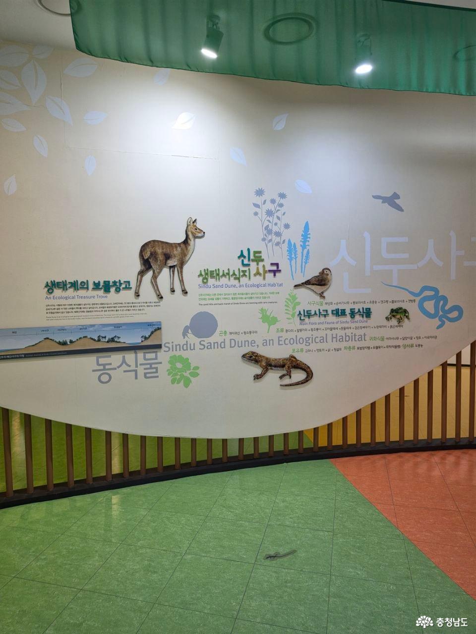 신두리 해안사구센터 내부 3