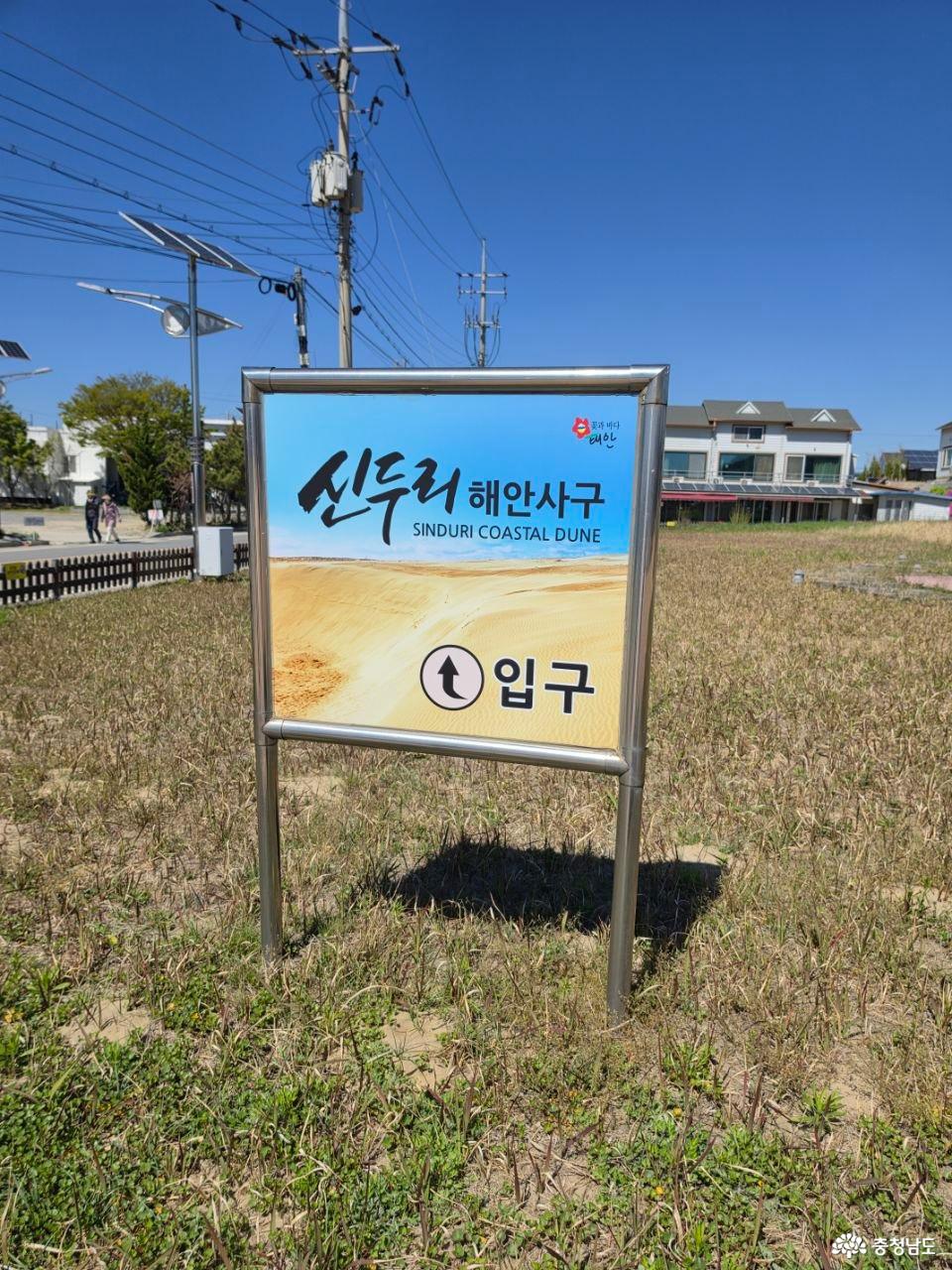 신두리 해안사구 가는 길