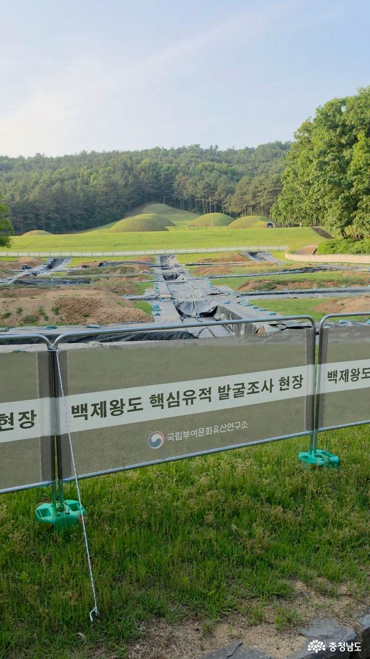 부여 왕릉원 발굴 조사 현장