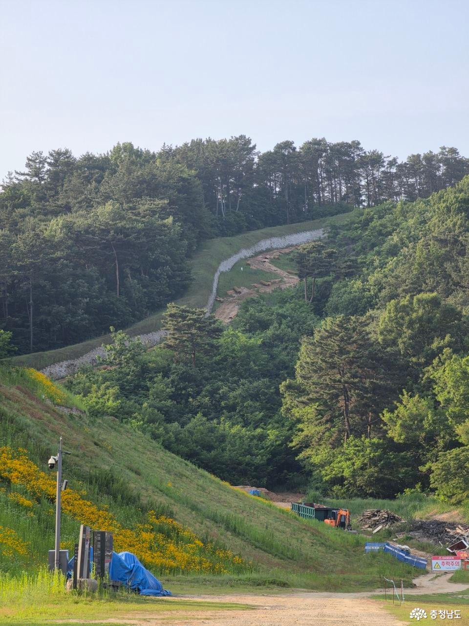 나성 발굴 현장