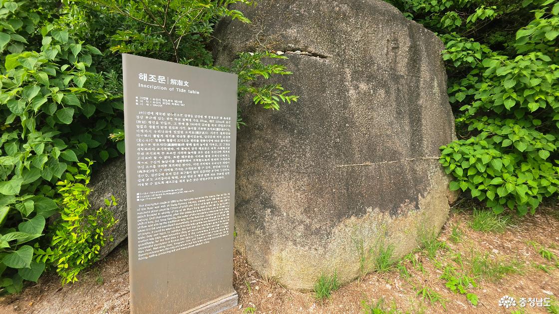 해조문