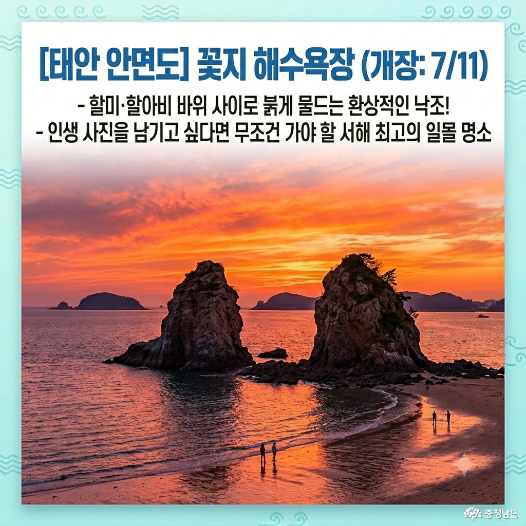 2026 충남 대표 해수욕장 TOP 7 개장 일정 