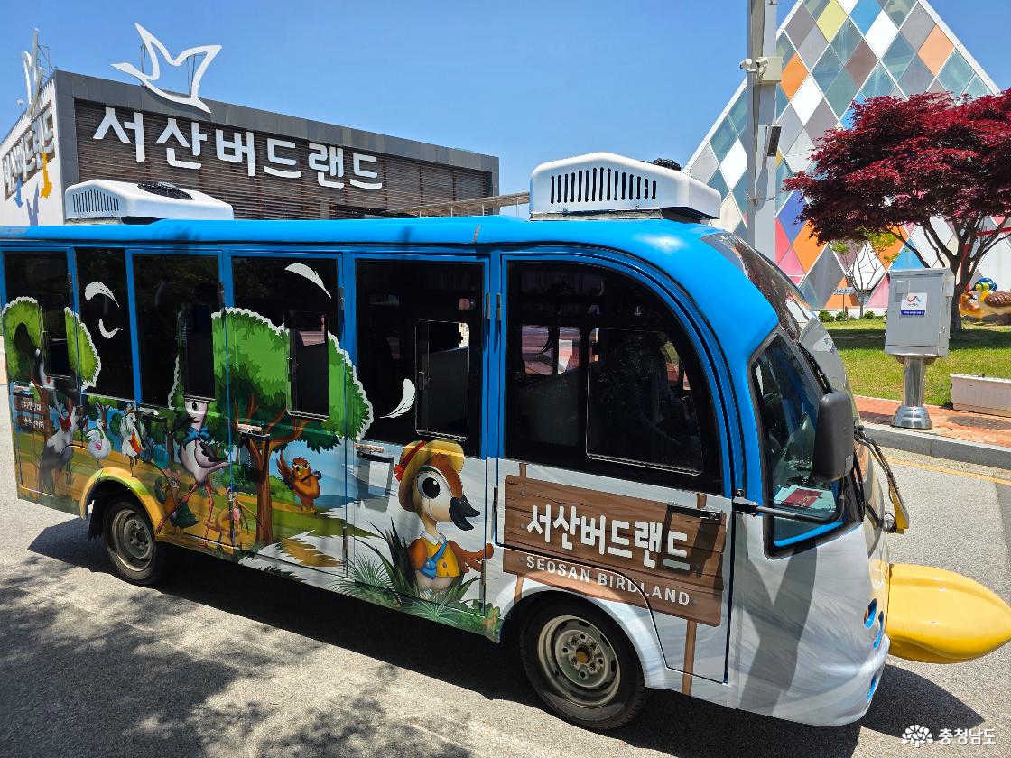 서산 버드랜드 셔틀버스