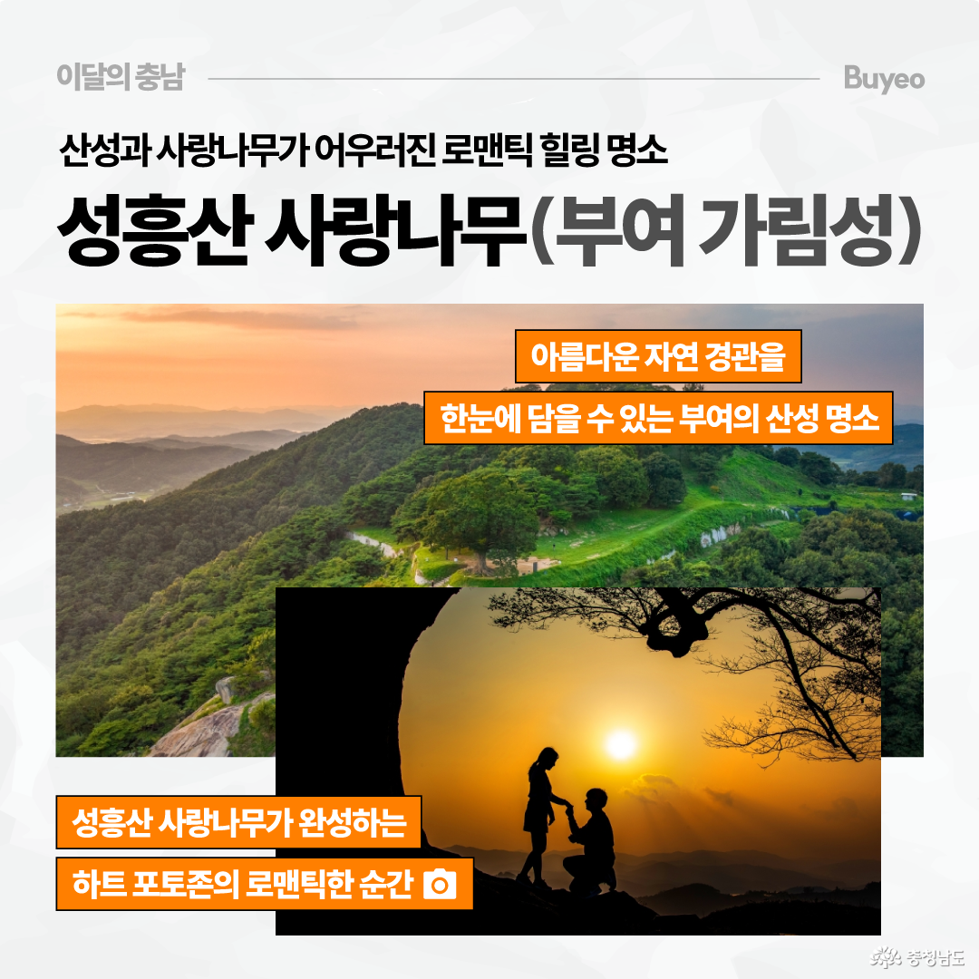 상단에는 &ldquo;산성과 사랑나무가 어우러진 로맨틱 힐링 명소 성흥산 사랑나무(부여 가림성)&rdquo;이라는 제목이 있습니다. 큰 사진에는 초록 산 능선과 노을빛 하늘이 펼쳐져 있고, 아래쪽에는 성흥산 사랑나무 아래에서 한 사람이 무릎을 꿇고 다른 사람에게 프러포즈하는 실루엣 사진이 겹쳐져 있습니다. 주황색 설명 문구로 자연 경관을 한눈에 담을 수 있는 산성 명소이자 하트 포토존의 로맨틱한 순간을 담을 수 있는 장소라고 소개합니다.