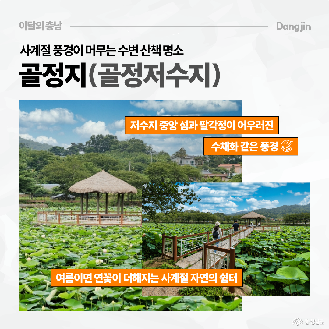 상단에는 &ldquo;사계절 풍경이 머무는 수변 산책 명소 골정지(골정저수지)&rdquo;라는 제목이 있고, 오른쪽 위에는 당진을 뜻하는 &ldquo;Dangjin&rdquo; 표기가 있습니다. 화면에는 연잎이 가득한 저수지와 팔각정, 산책로를 걷는 사람들의 사진이 겹쳐져 있습니다. 주황색 설명 문구로 저수지 중앙 섬과 팔각정이 어우러진 수채화 같은 풍경, 여름이면 연꽃이 더해지는 사계절 자연 쉼터라고 소개합니다.