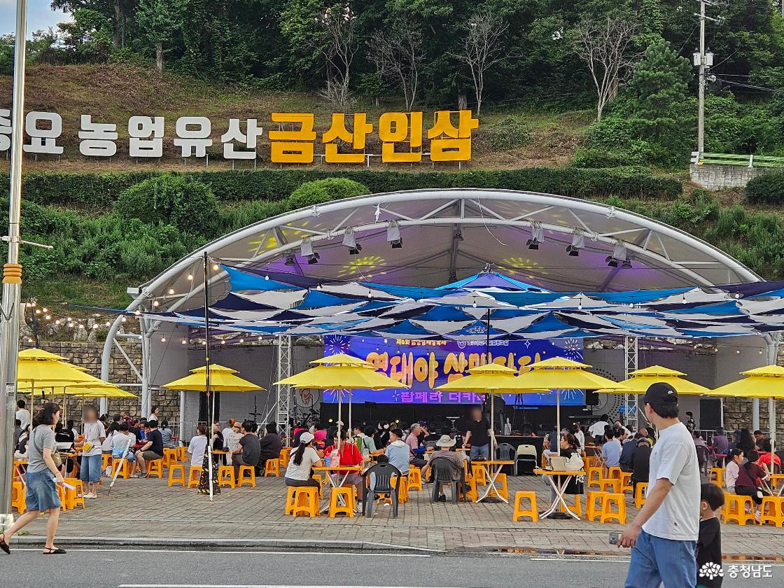 금산삼계탕축제 열대야 삼맥파티 공연장과 관람객 모습
