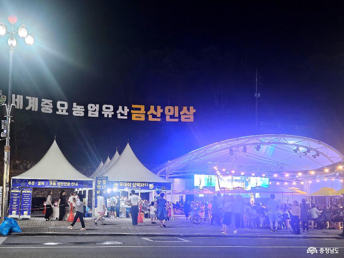금산삼계탕축제 야간 열대야 삼맥파티 공연과 화려한 무대 조명