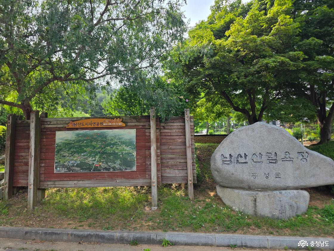 홍성군 남산산림욕장