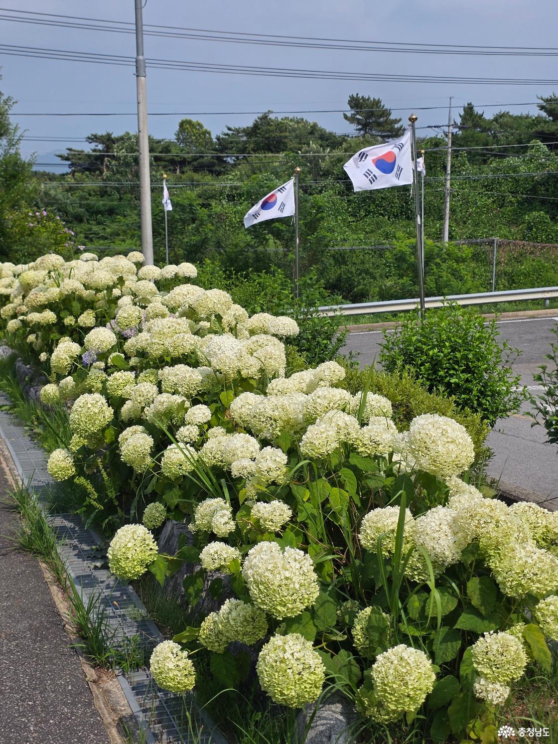 수구