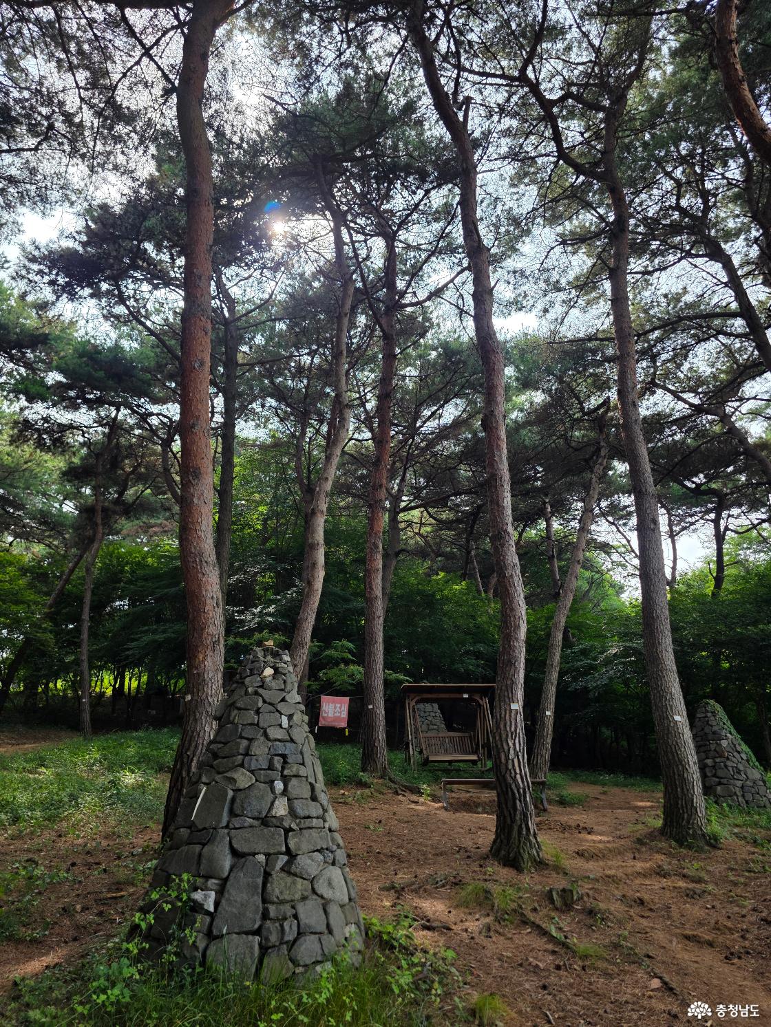 홍성군 남산산림욕장
