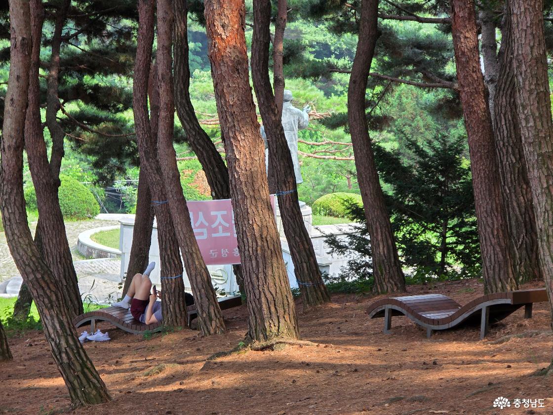 홍성군 남산산림욕장