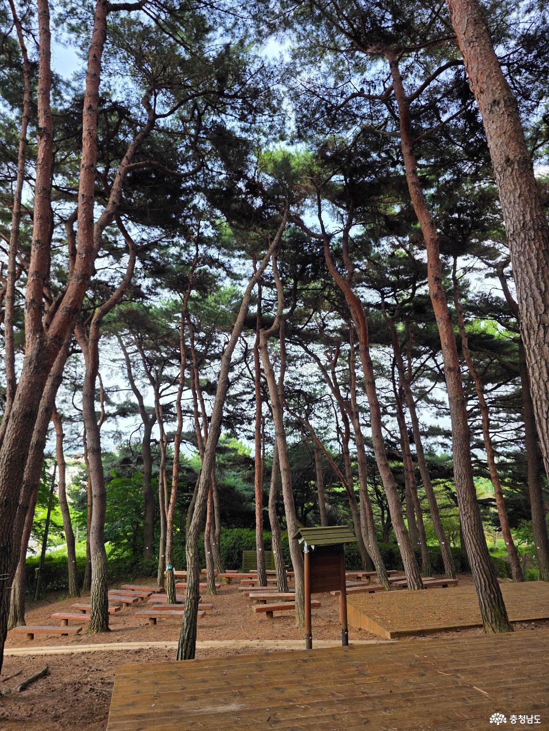 홍성군 남산산림욕장