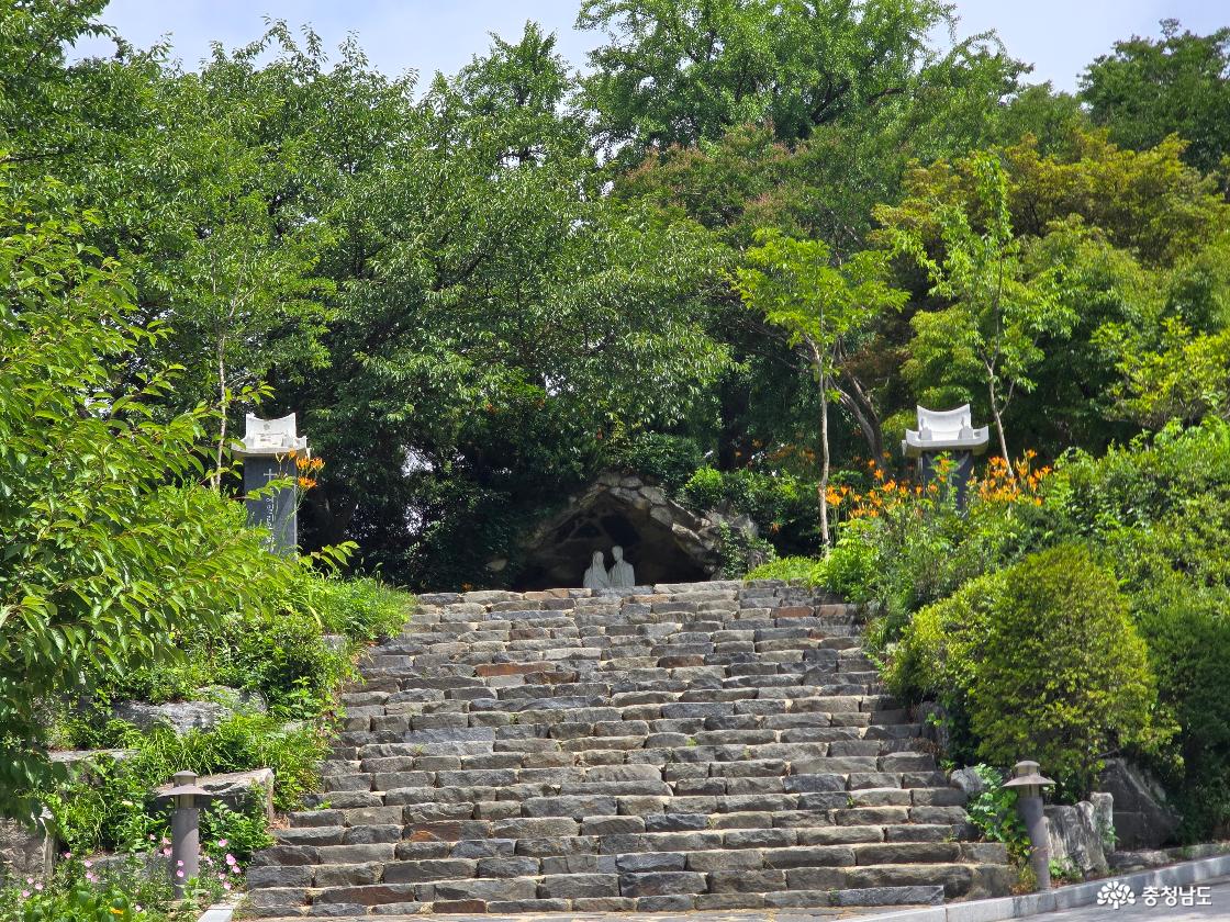 공세리성당 성모동굴로 이어지는 돌계단과 울창한 숲길 풍경