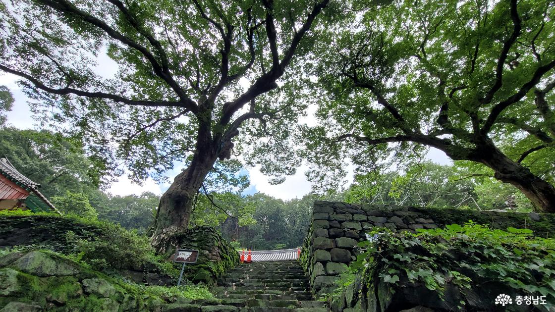 [충남의 전통사찰 53] 백제부흥의 한(恨) 예산 대련사(大蓮寺)  