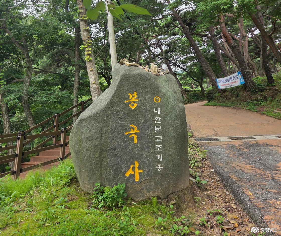 소나무 숲길 끝에 숨겨진 천년 고찰, 아산 봉곡사를 걷다