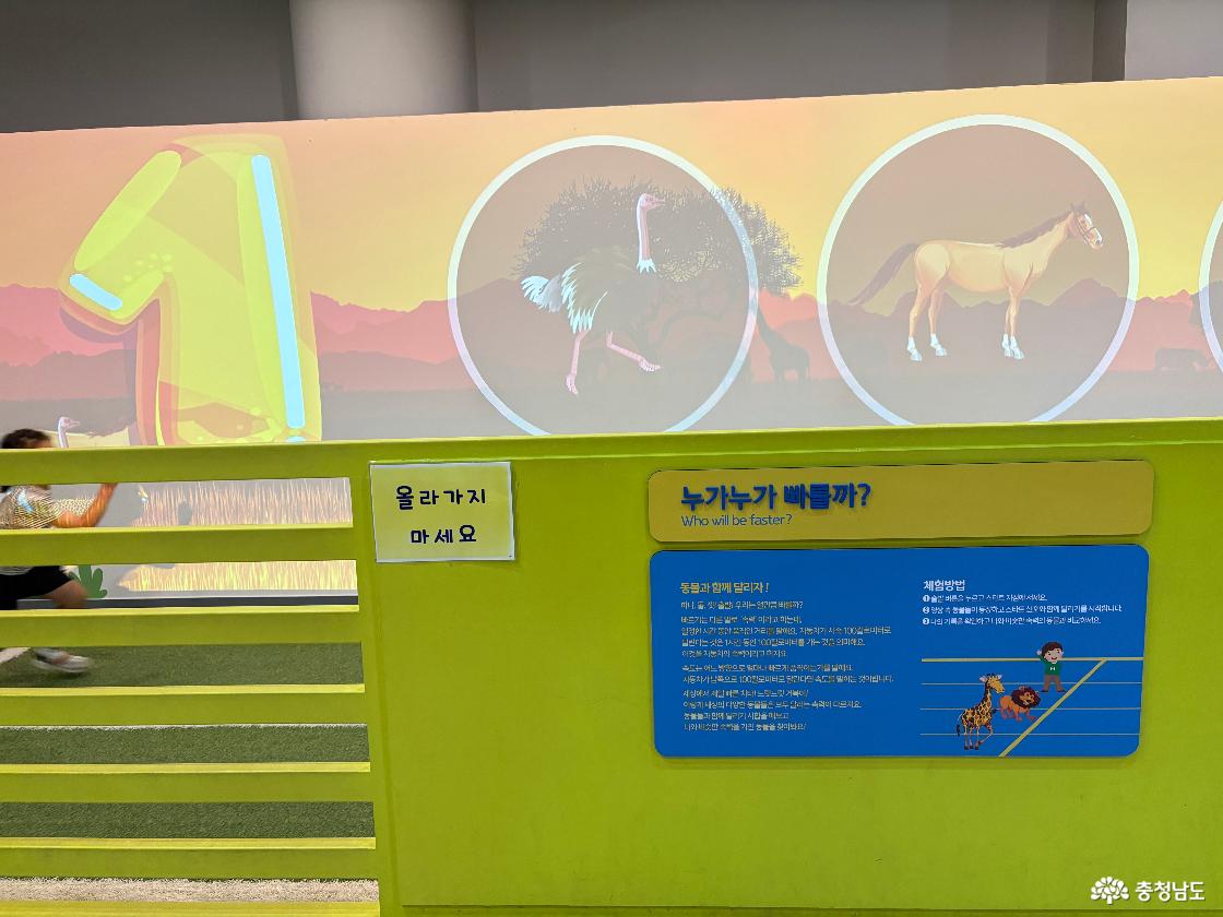 장영실과학관