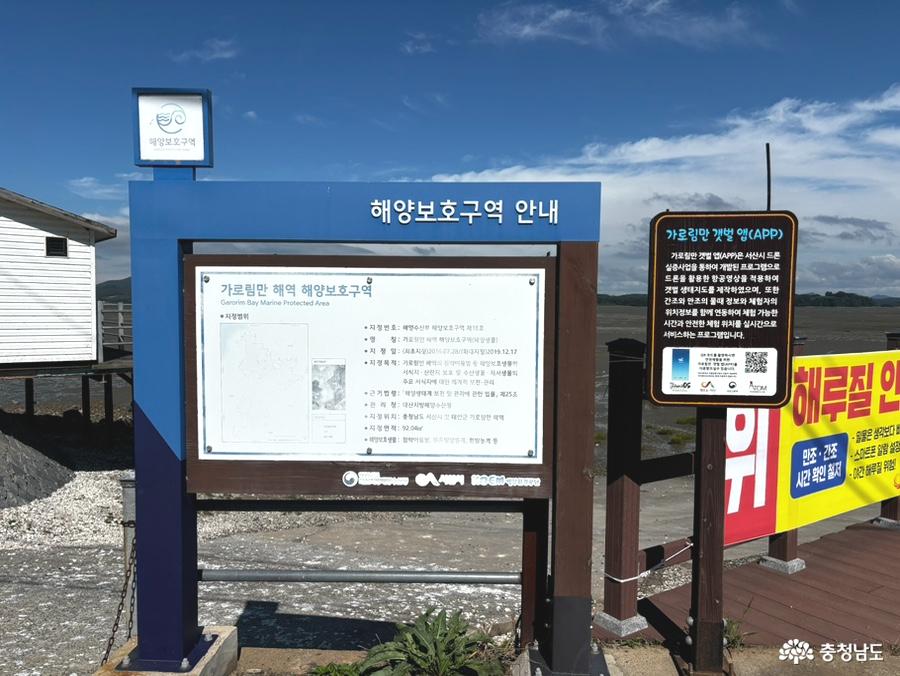 웅도