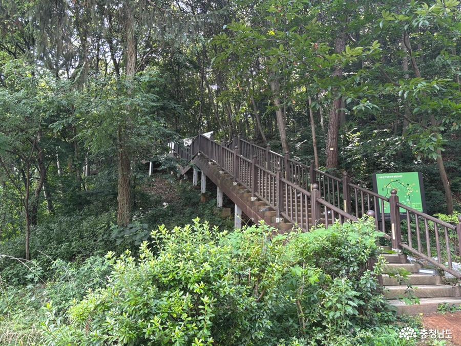 황토길